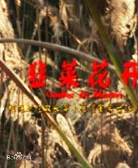 小草社区官网影视海报