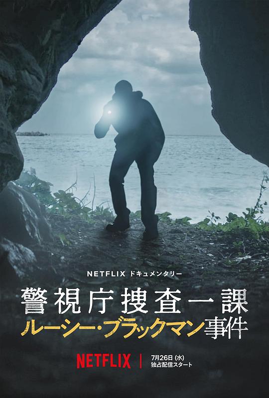 甲贺忍法帖电影影视海报