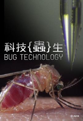 朴宝英男朋友影视海报