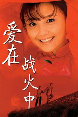 无贼电视剧在线观看影视海报